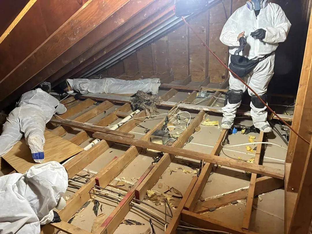 Bowerman Cleaning and Restoration — work photo