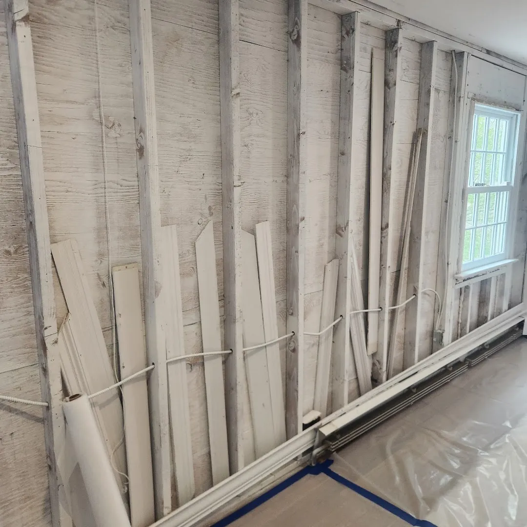 Breathe Easy Solutions Remediation corp. Mold Removal