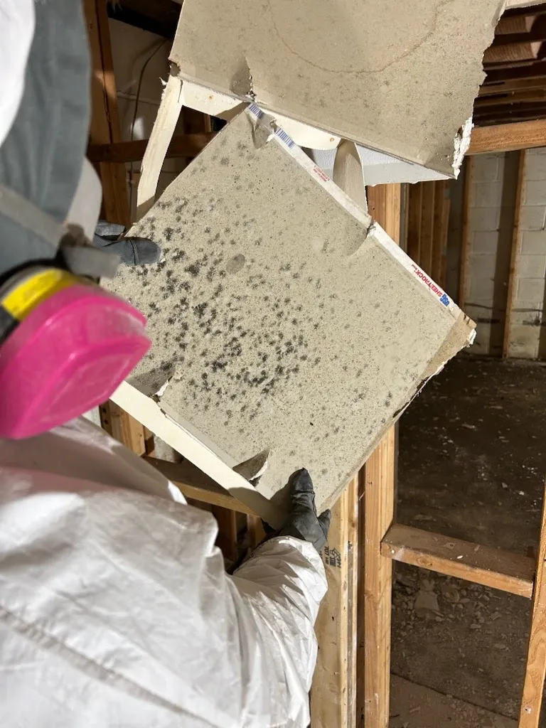 BreathePure LLC — work photo