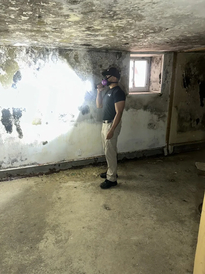 iFlooded Restoration — work photo