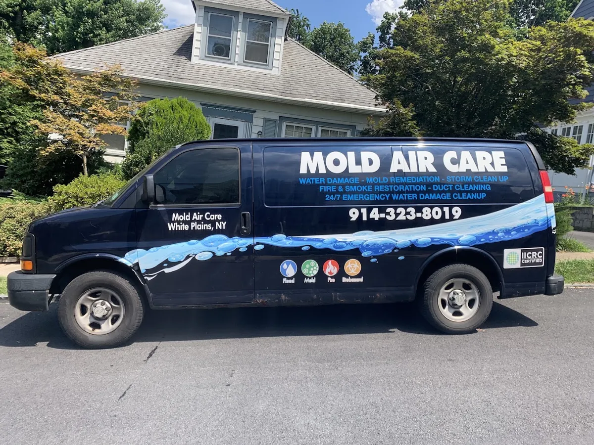 Mold Air Care