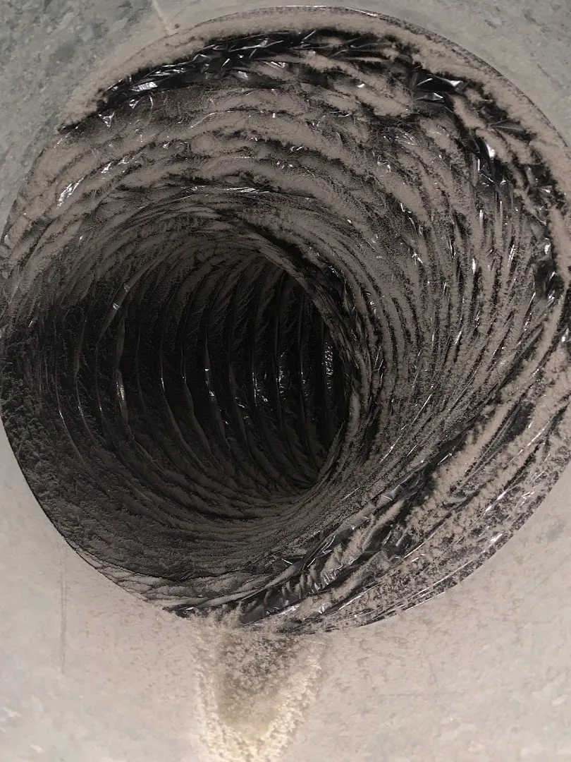 Mold Air Care — work photo