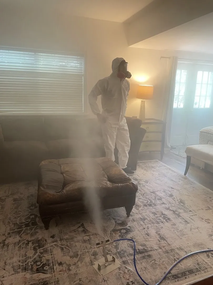 NY Mold & Clean Air Solutions — work photo